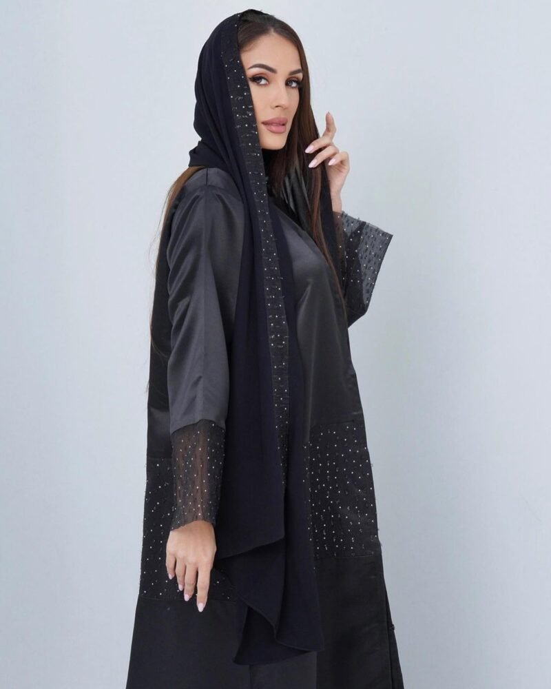 Ab-006 - Image 2