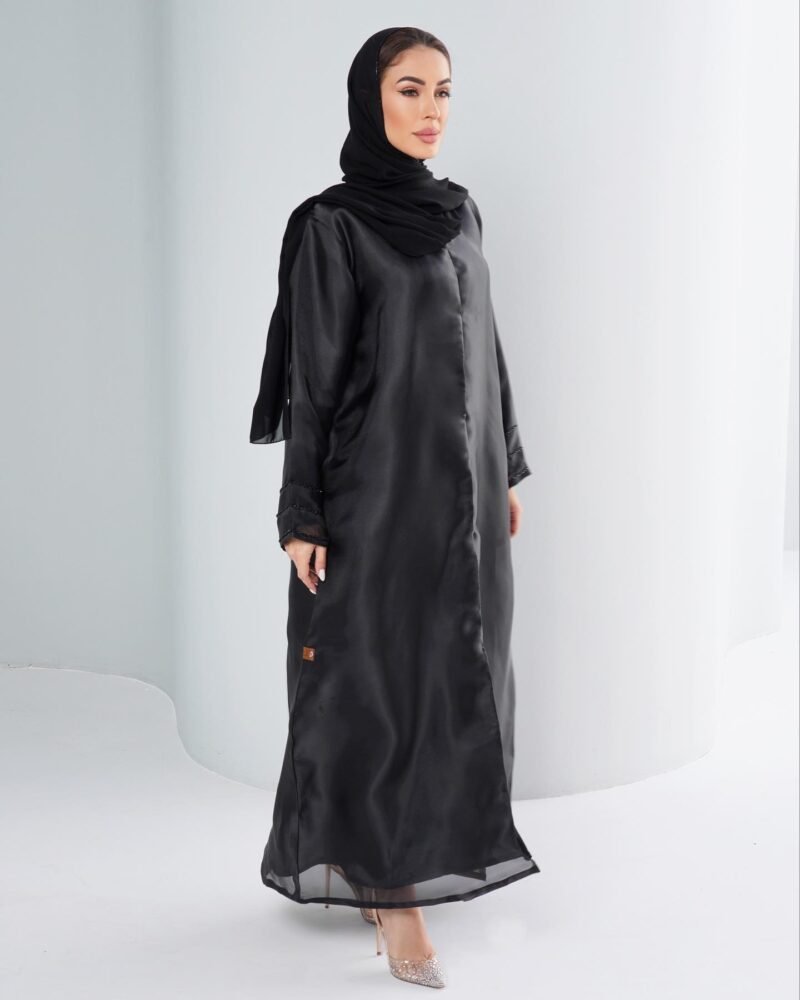 Ab-013 - Image 2