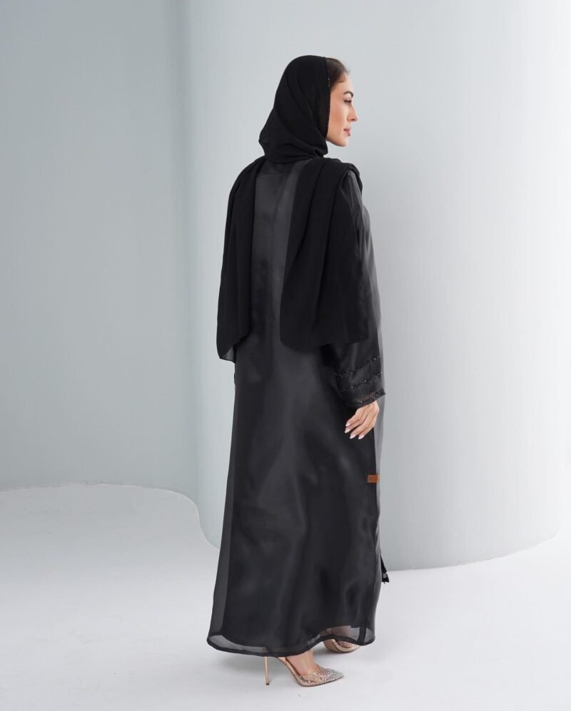 Ab-013 - Image 3